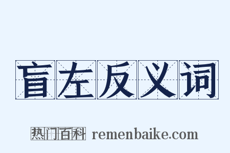 盲左反义词是什么意思的图片